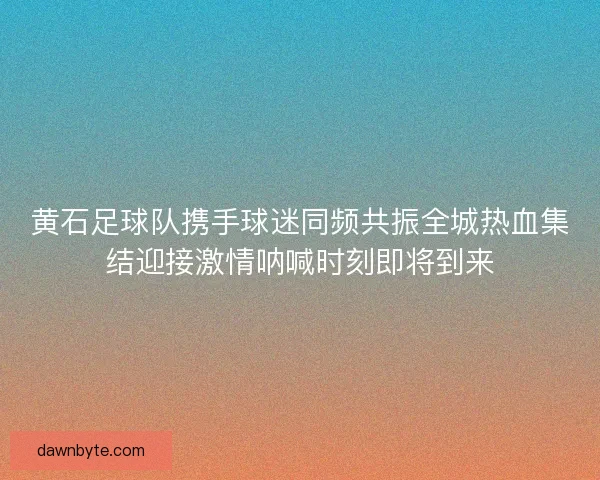 黄石足球队携手球迷同频共振全城热血集结迎接激情呐喊时刻即将到来